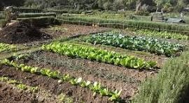 Borja Luis Molina Lasheras