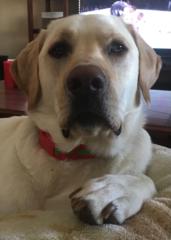 BethAnn DeMeulenaere