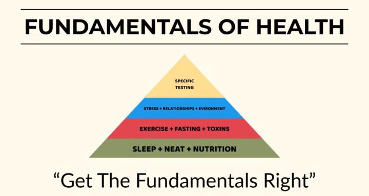 Fundamentals Of Health