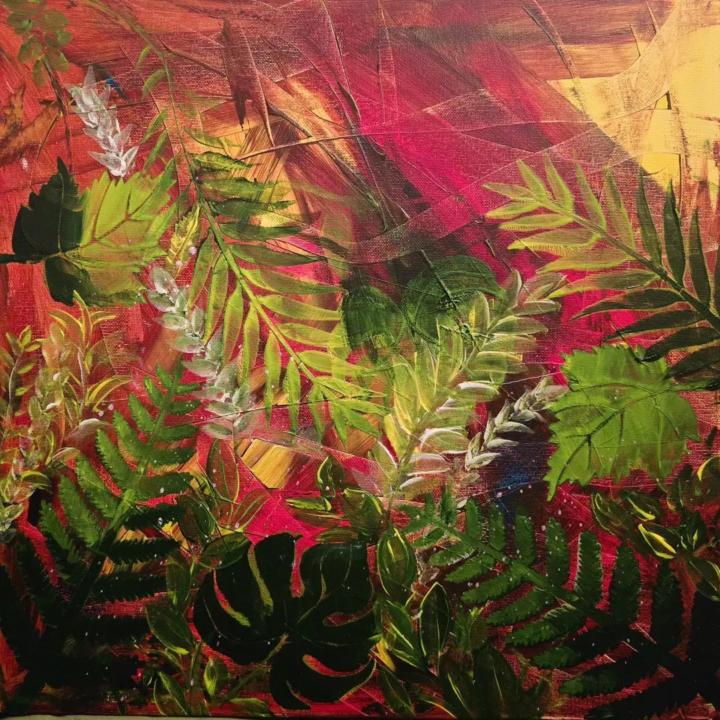 Magic Forests Collections