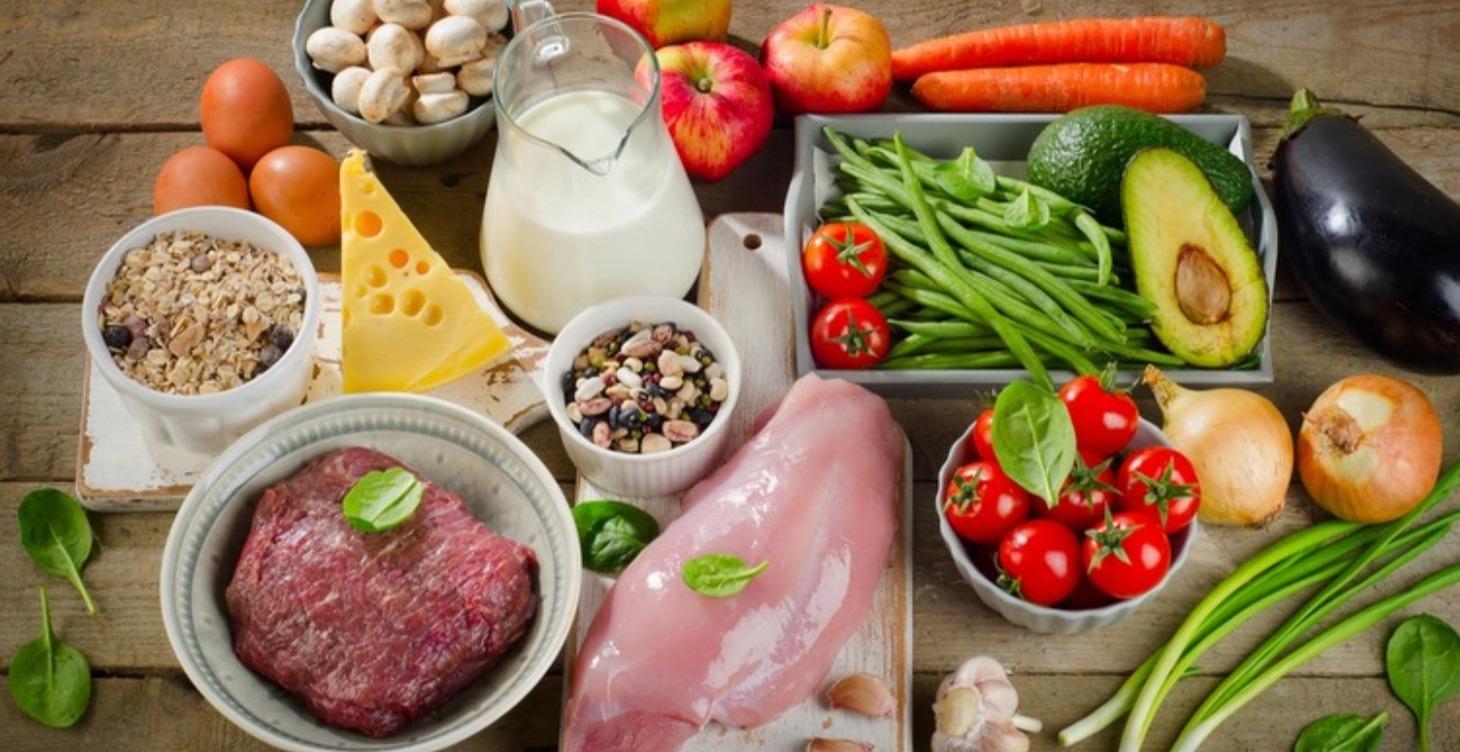 Introducción A La Nutrición