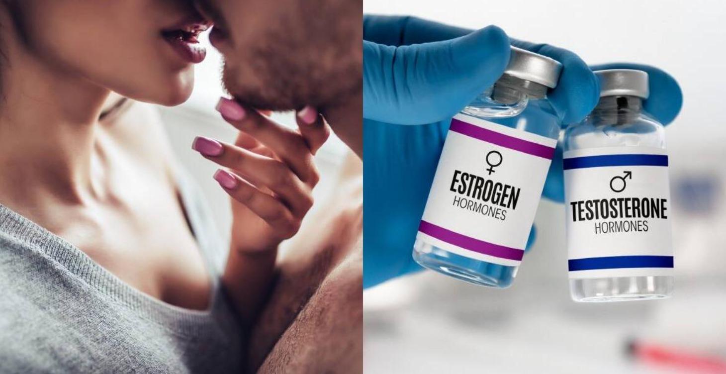 Regulación Hormonal