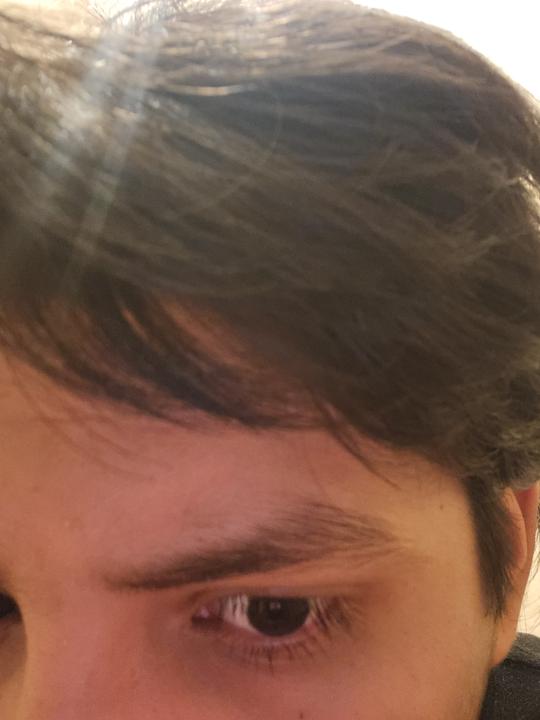 Ceja