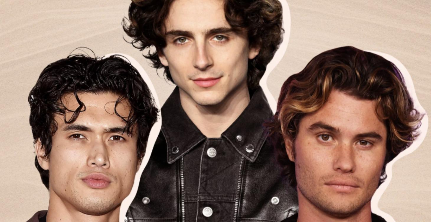 Optimización Del Pelo