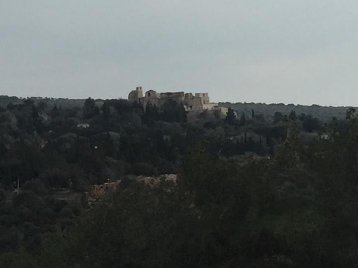 Jenilee Bader-Ben Shimon