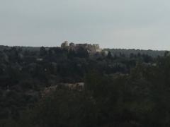 Jenilee Bader-Ben Shimon