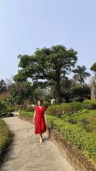 Phạm Lan Anh