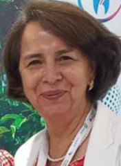 Mery Mireya Guerrero R