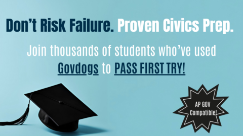 Govdogs FCLE Review gallery image