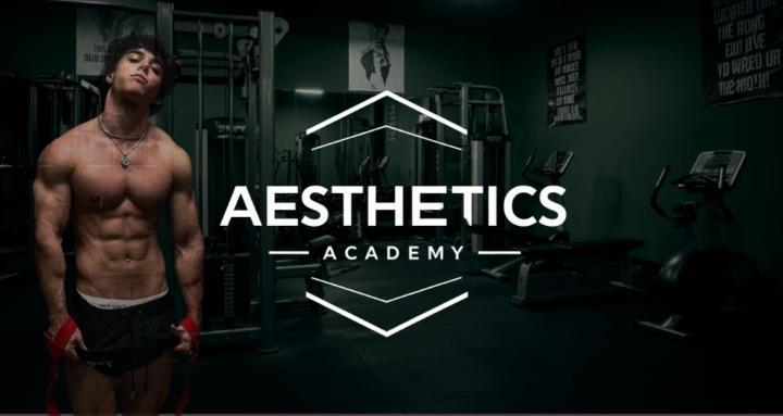 Aesthetic Academy