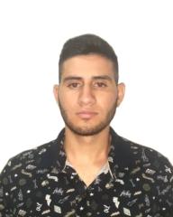 Felipe Meneses