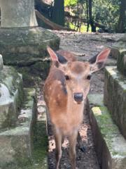 たくろー たくろー