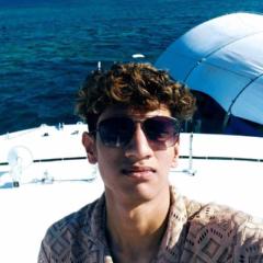 Srini V