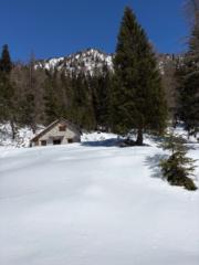 Loetitia Le clech
