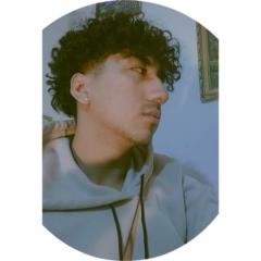 David alejandro Araya cortes