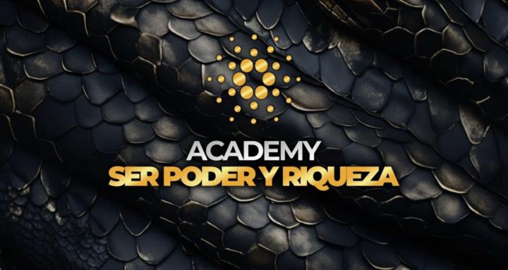 Academy Ser Poder y Riqueza