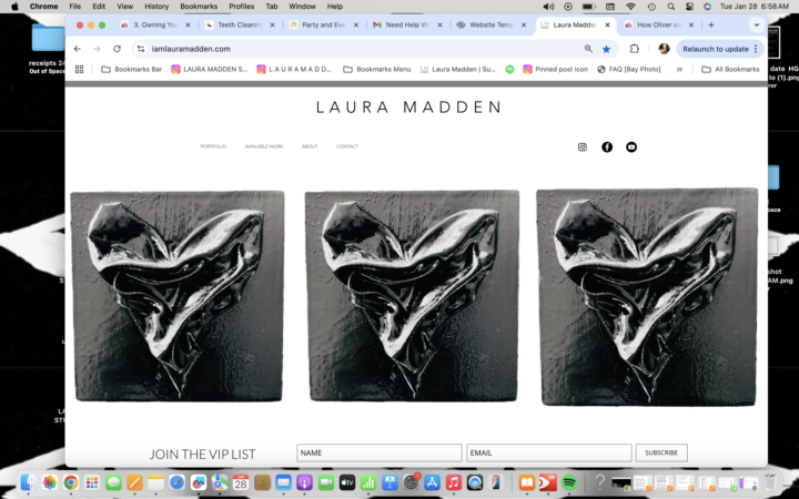 Need website feedback, direction, advice please