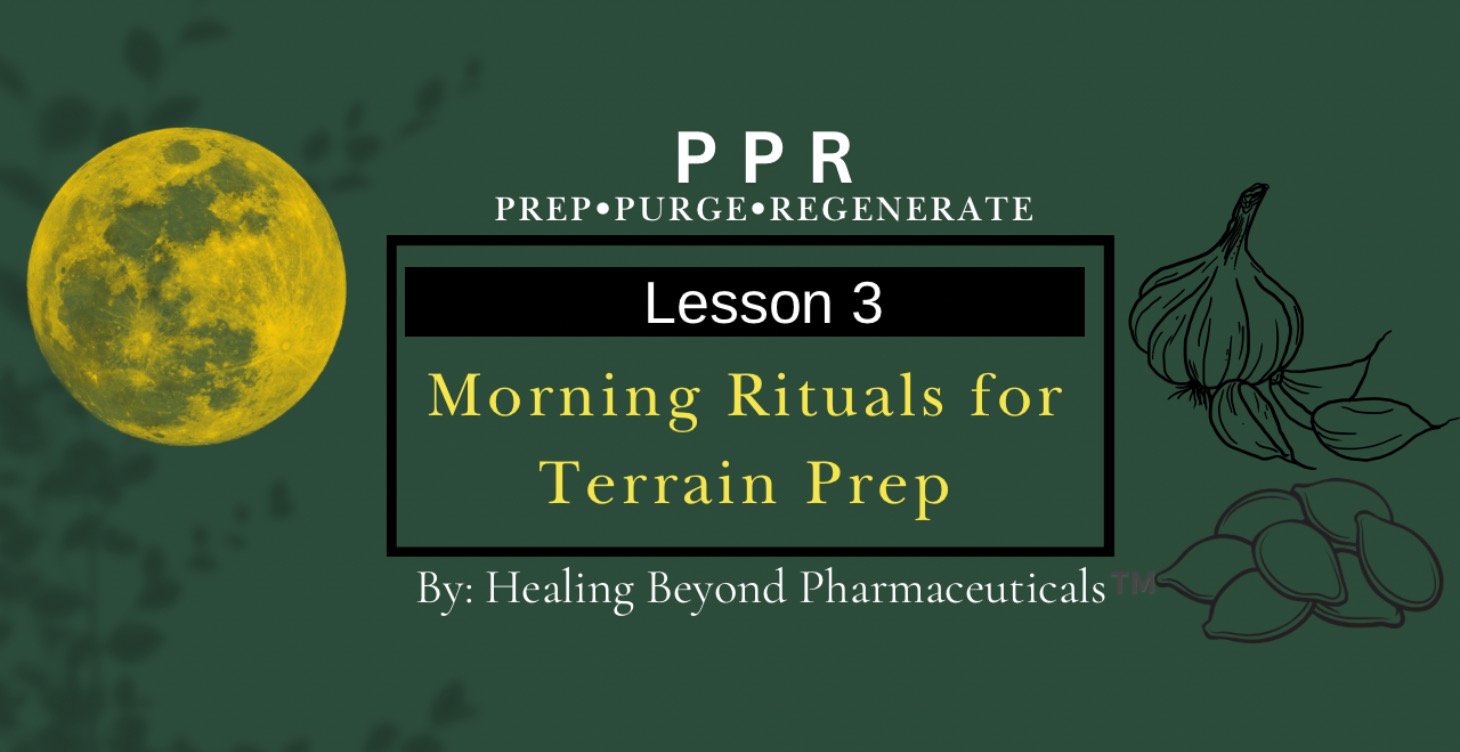 Lesson 3: Morning Rituals for Terrain Prep