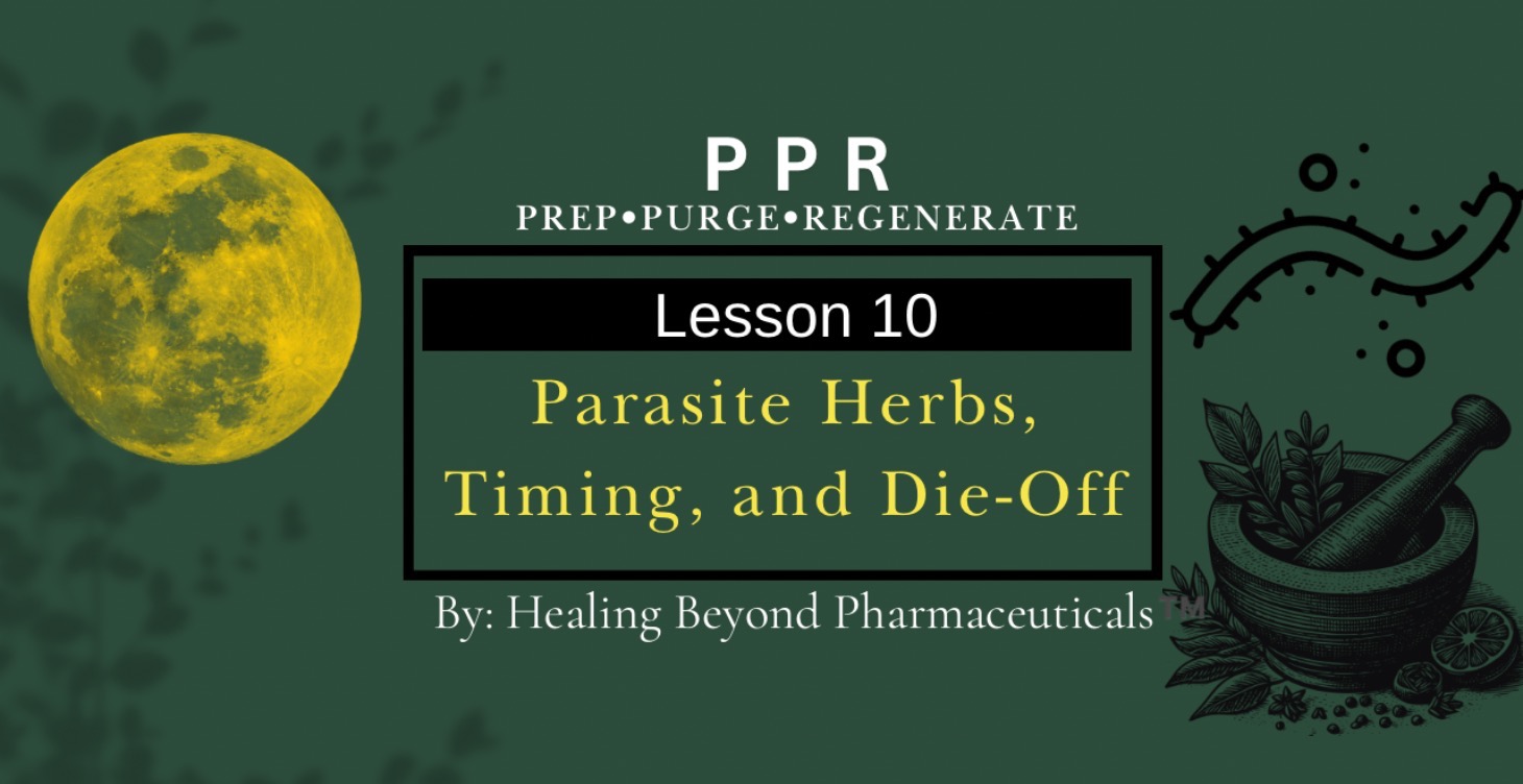 Lesson 10: Parasite Herbs, Timing, and Die-Off