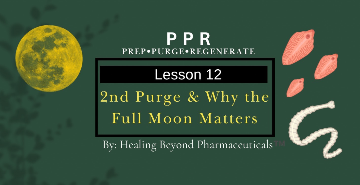 Lesson 12: 2nd purge & Why the Full Moon Matters