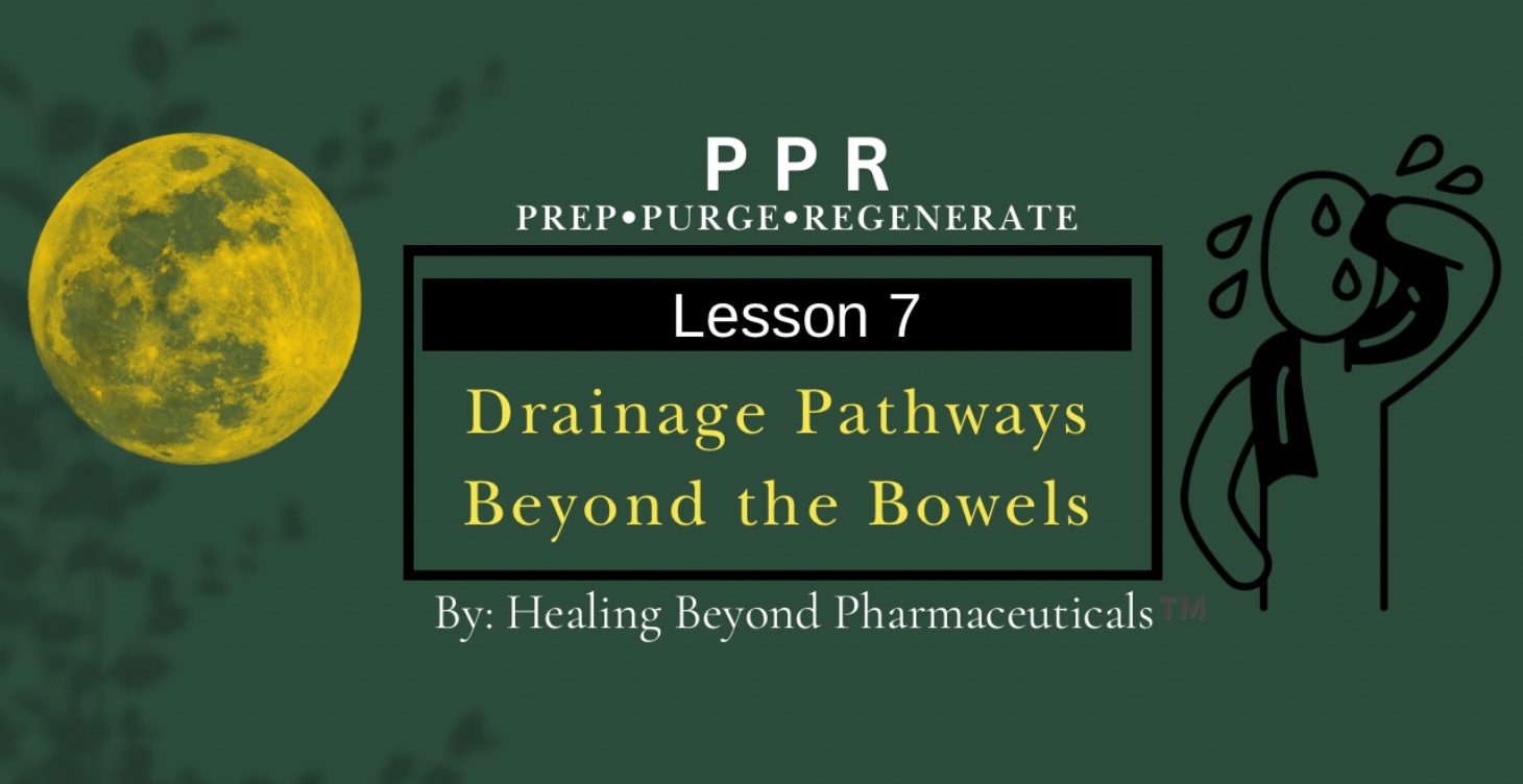 Lesson 7: Drainage Pathways Beyond the Bowels