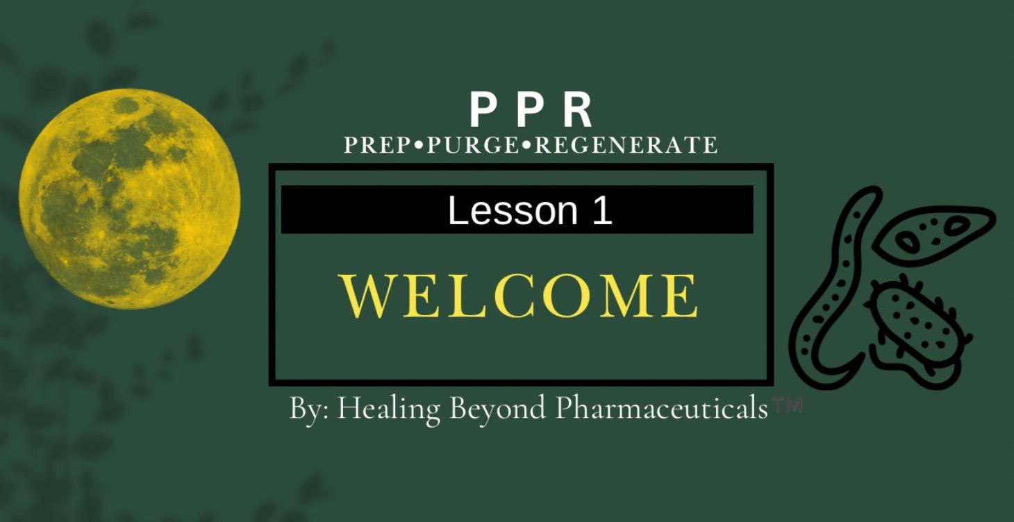 Lesson 1: Welcome and let’s gets started