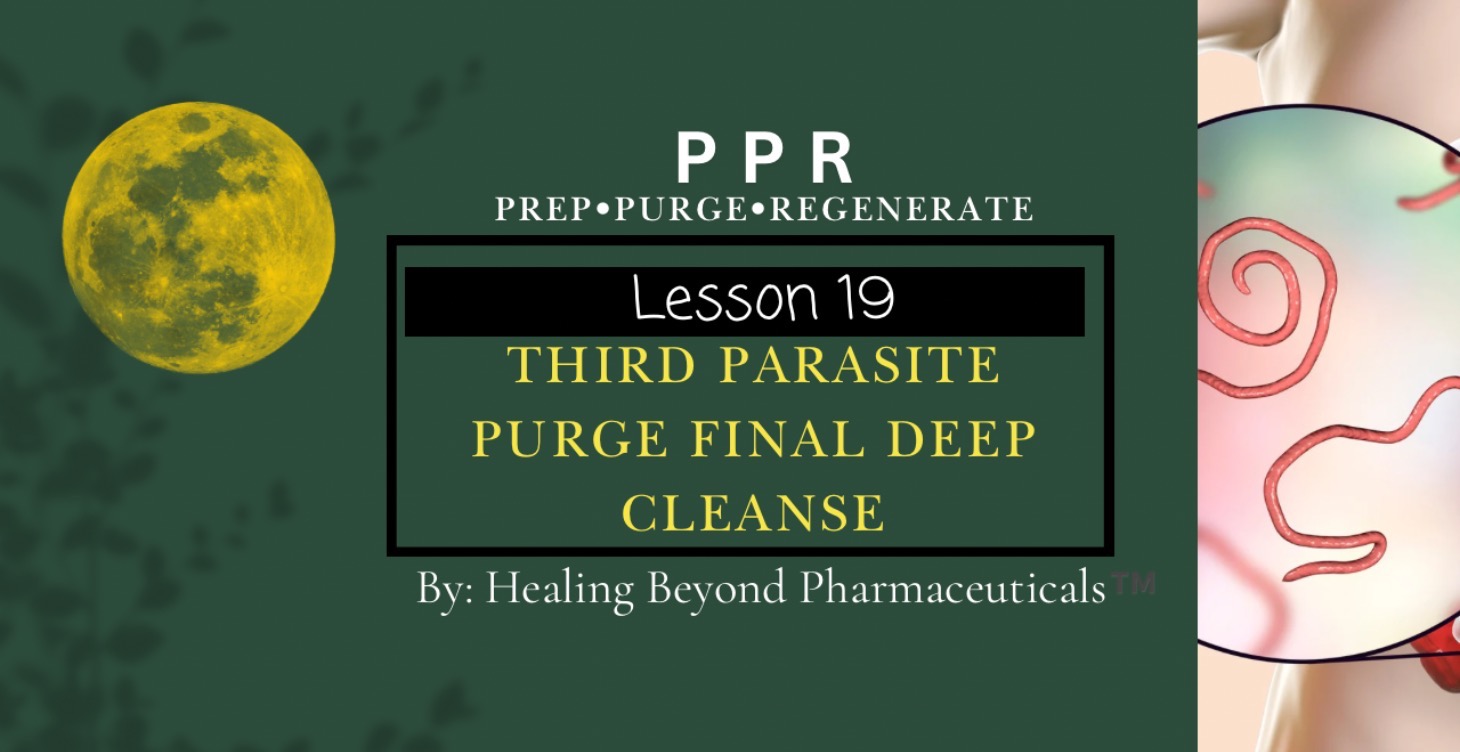 Lesson 19: Third Parasite Purge Final Deep Cleanse