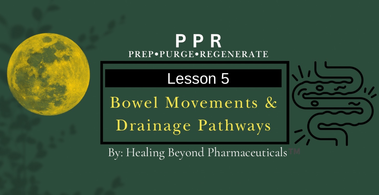 Lesson 5: Bowel Movements & Drainage Pathways