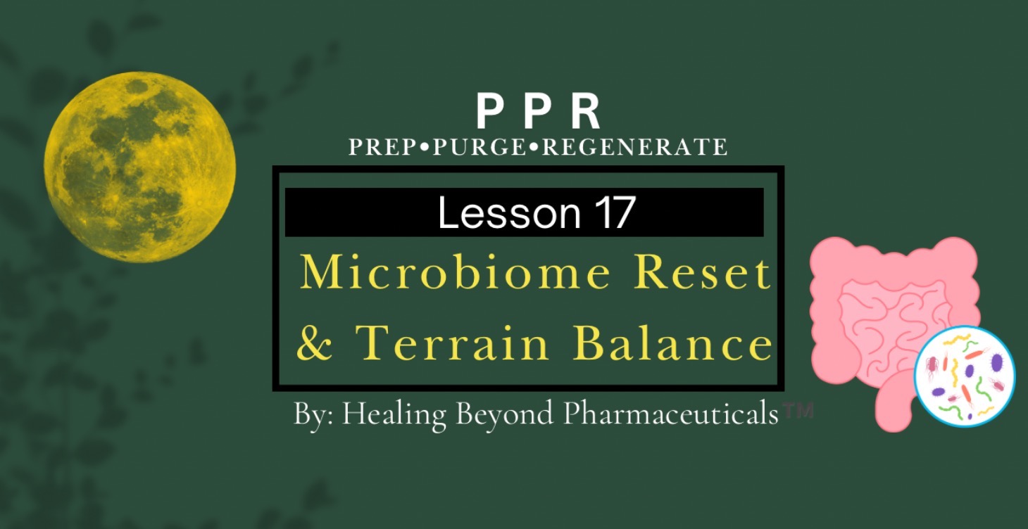 Lesson 17: Microbiome Reset & Terrain Balance