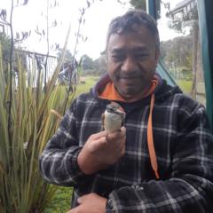 Mana Te Whata