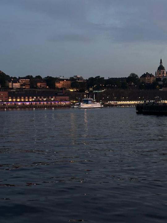Enk-Erdene Erdenetsogt