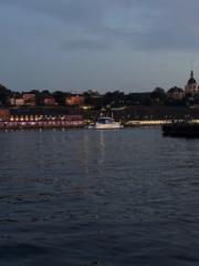 Enk-Erdene Erdenetsogt