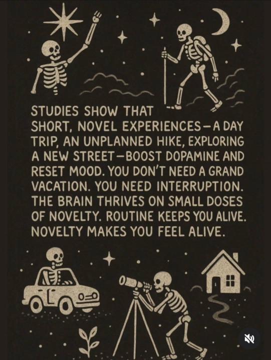 A little visual reminder ✨