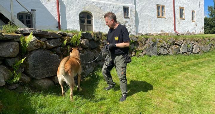 Detection K9