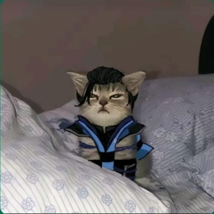 Sleep J