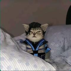 Sleep J