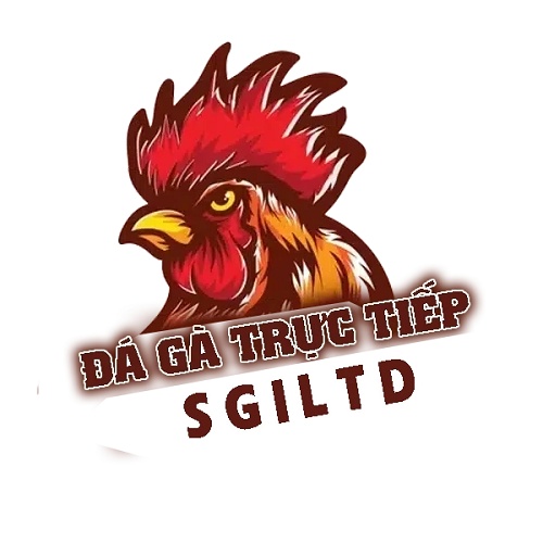 Trực tiếp Đá gà