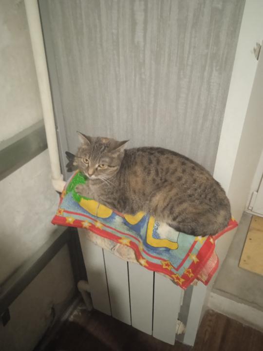 Алексей Кудрявцев