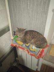 Алексей Кудрявцев