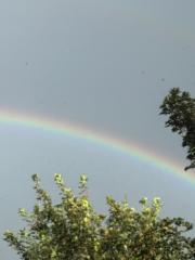 Sofía Mombrú Arache