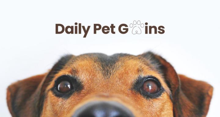 Daily Pet Gains