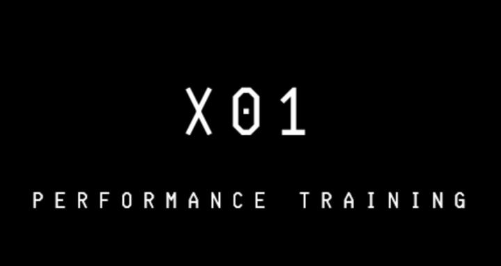 X01 Performance