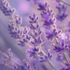 Mahee Rubaba Ferdous Aparajita