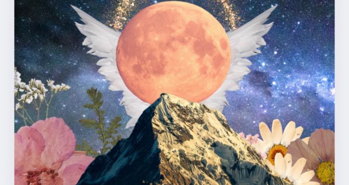 Heart Healing and Soul Growth