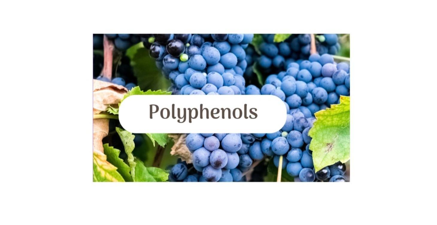 Polyphenols