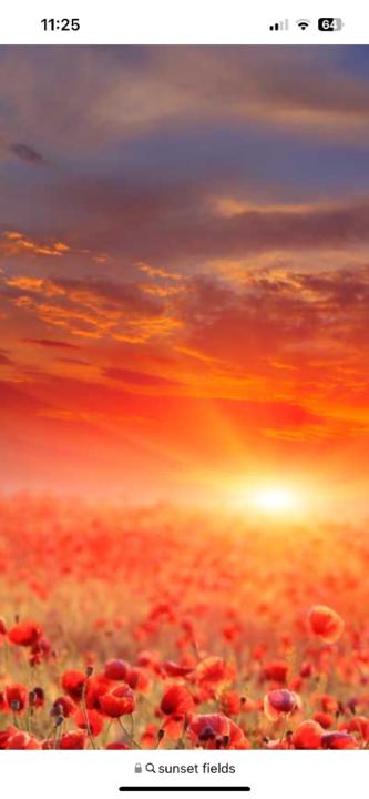 Nadine Brew aspinwall