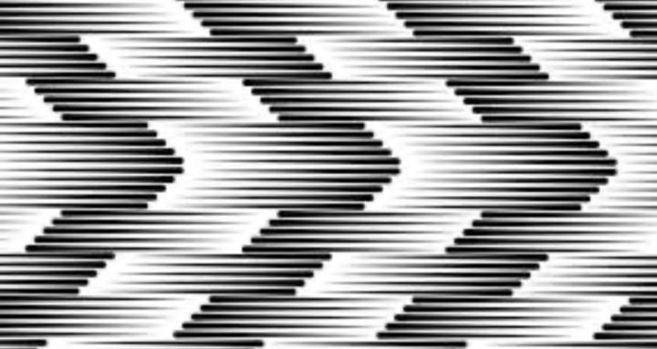 Sponsors and investors