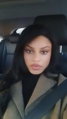 Temperance Bromeliad