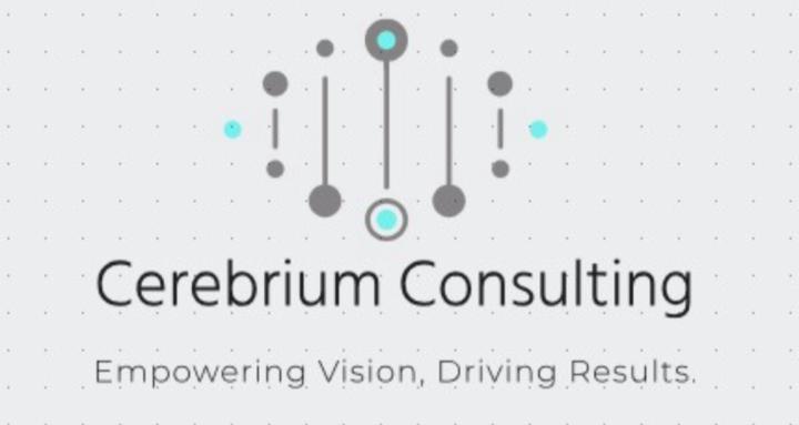 Cerebrium Consulting