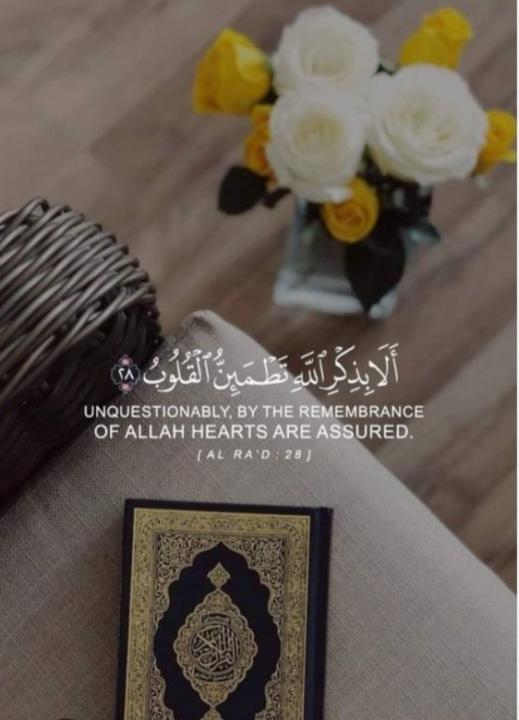 Hafsa Chkhonty